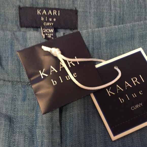 NWT. Kaari Blue embroidered chambray shorts. Sizes 16 & 20. - Picture 5 of 6